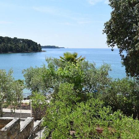 Buric House - Apartments Klasik And Studio Mini Rovinj Exterior photo