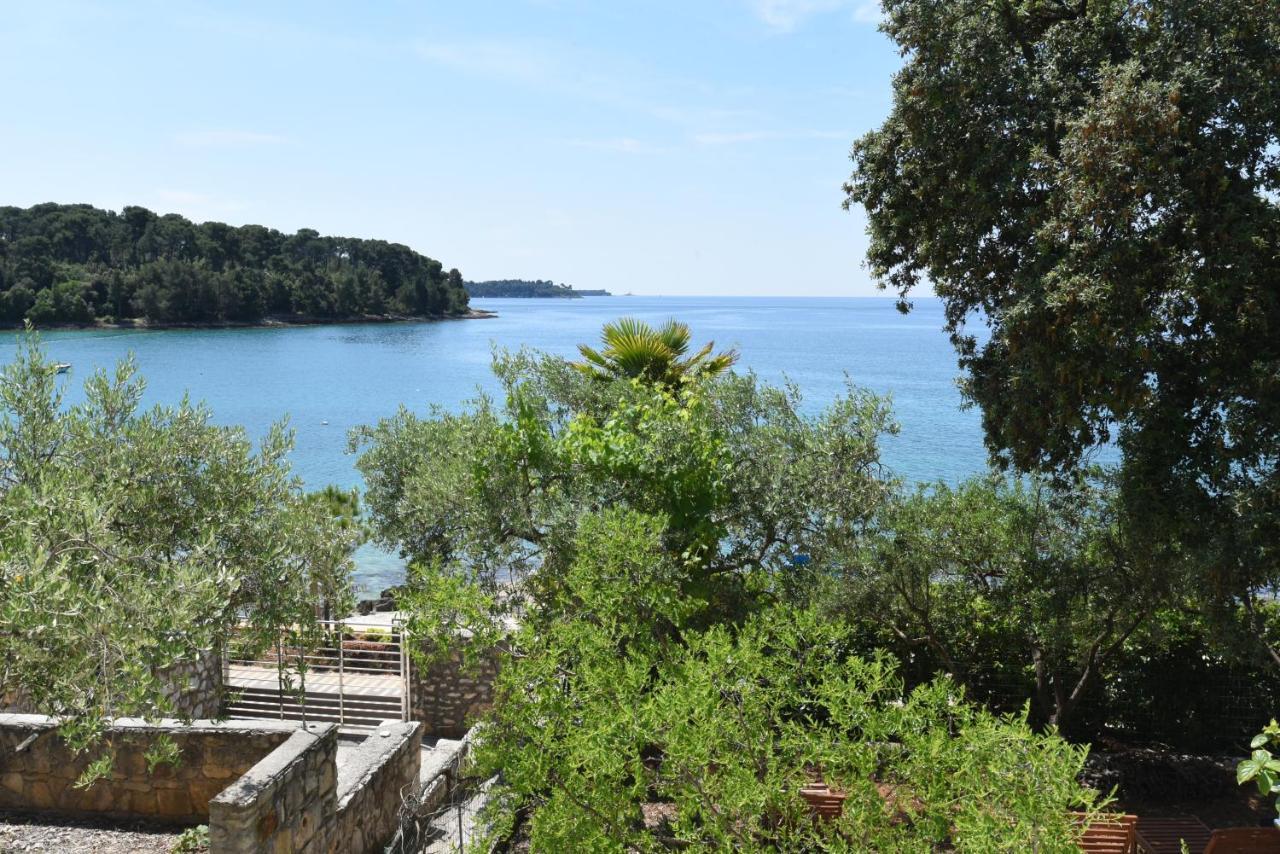 Buric House - Apartments Klasik And Studio Mini Rovinj Exterior photo